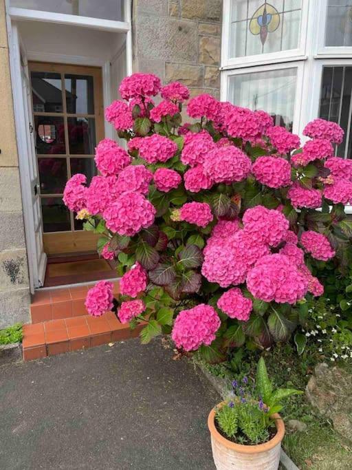 Kelvinside, Seahouses, 2 Minute Walk Into Village Bagian luar foto
