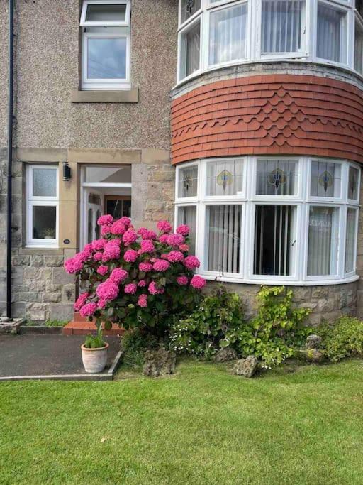 Kelvinside, Seahouses, 2 Minute Walk Into Village Bagian luar foto
